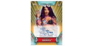 2019 Topps WWE Women's Division trading card checklist