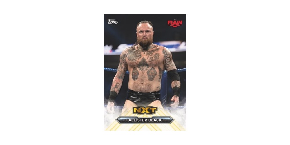 2020 Topps WWE NXT